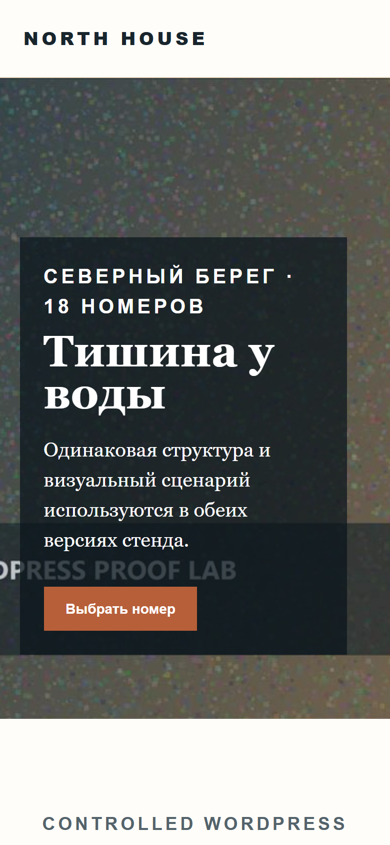 Mobile WordPress demonstration page after controlled optimization