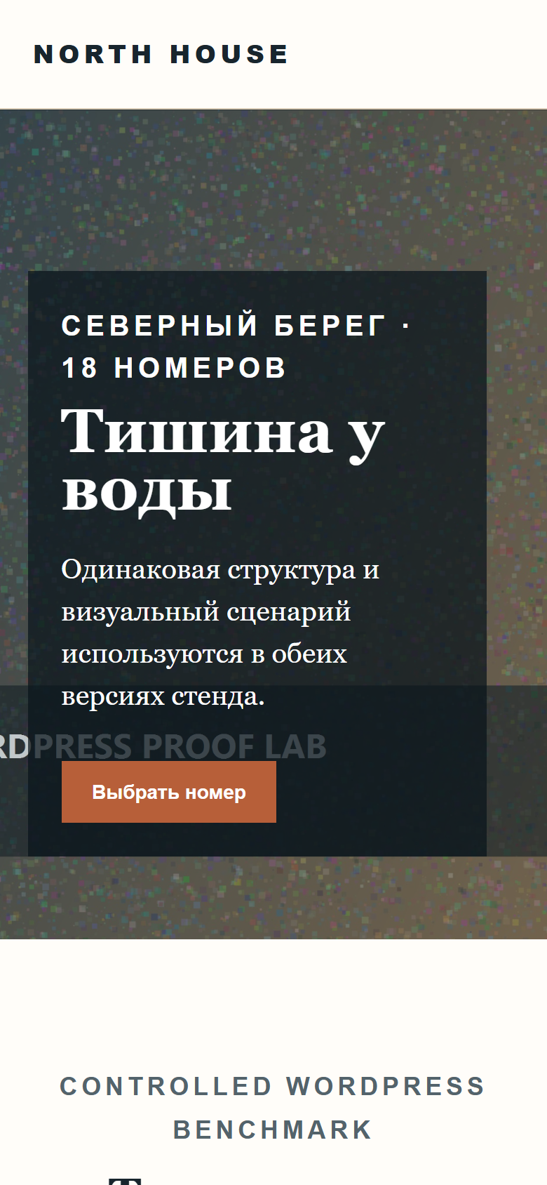 Mobile WordPress demonstration page before controlled optimization